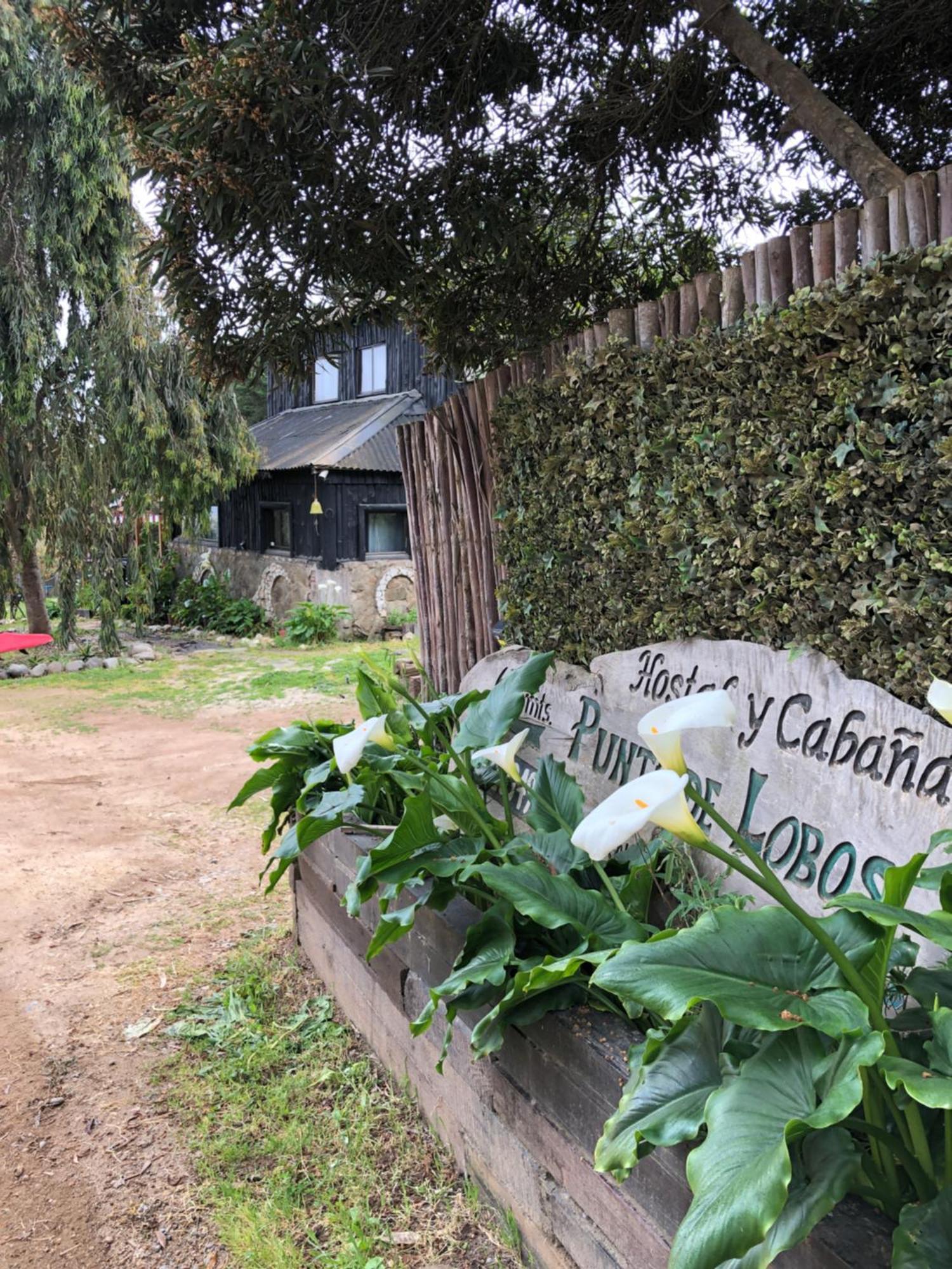 Punta De Lobos - Casa Rústica *