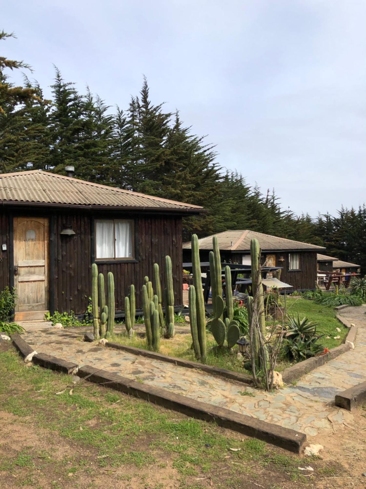 Punta De Lobos - Casa Rústica *