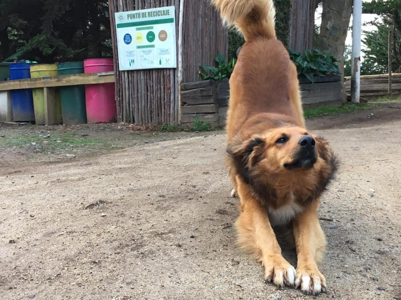 Сasa de vacaciones Punta De Lobos - Casa Rústica