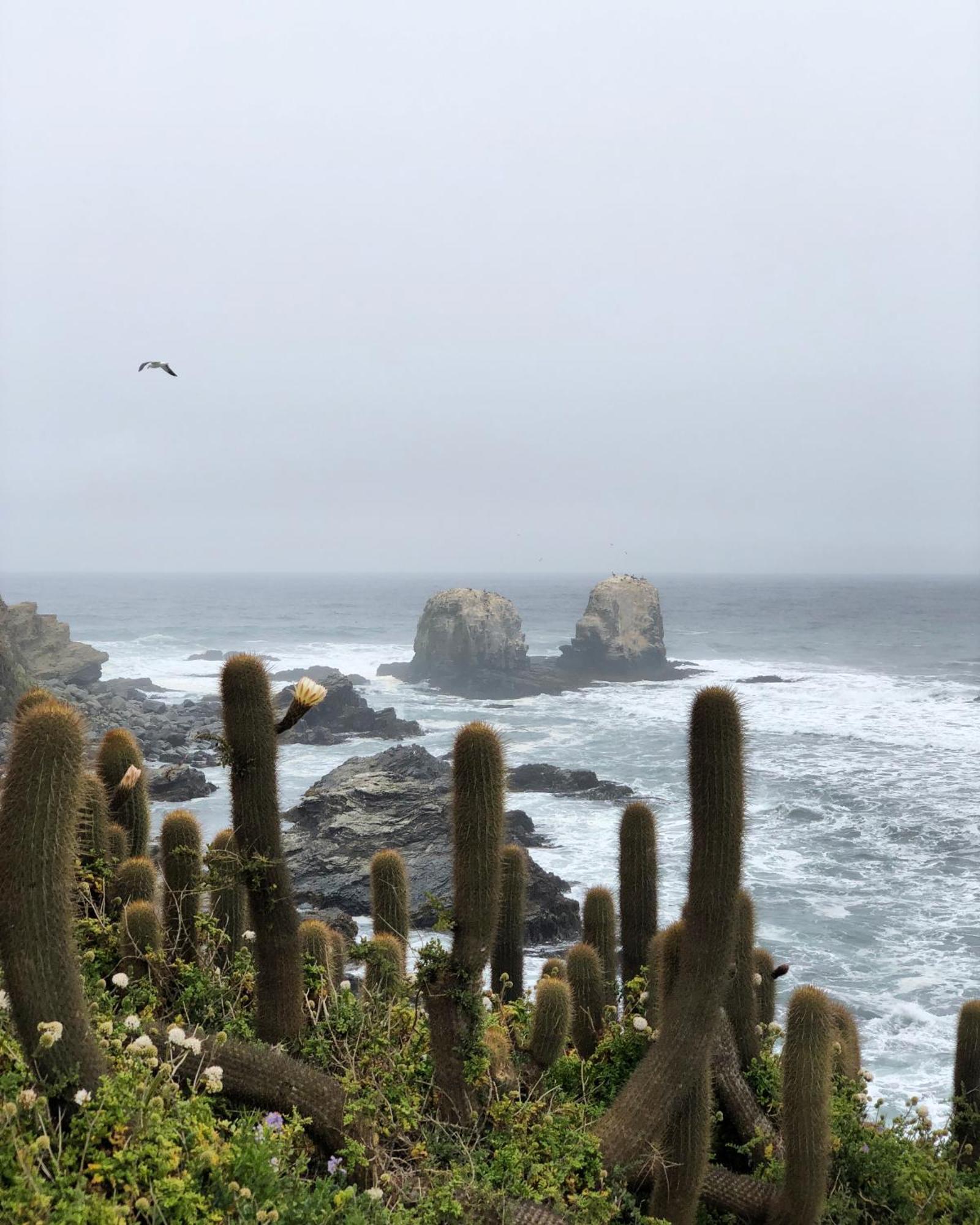 Punta De Lobos - Casa Rústica Pichilemu
