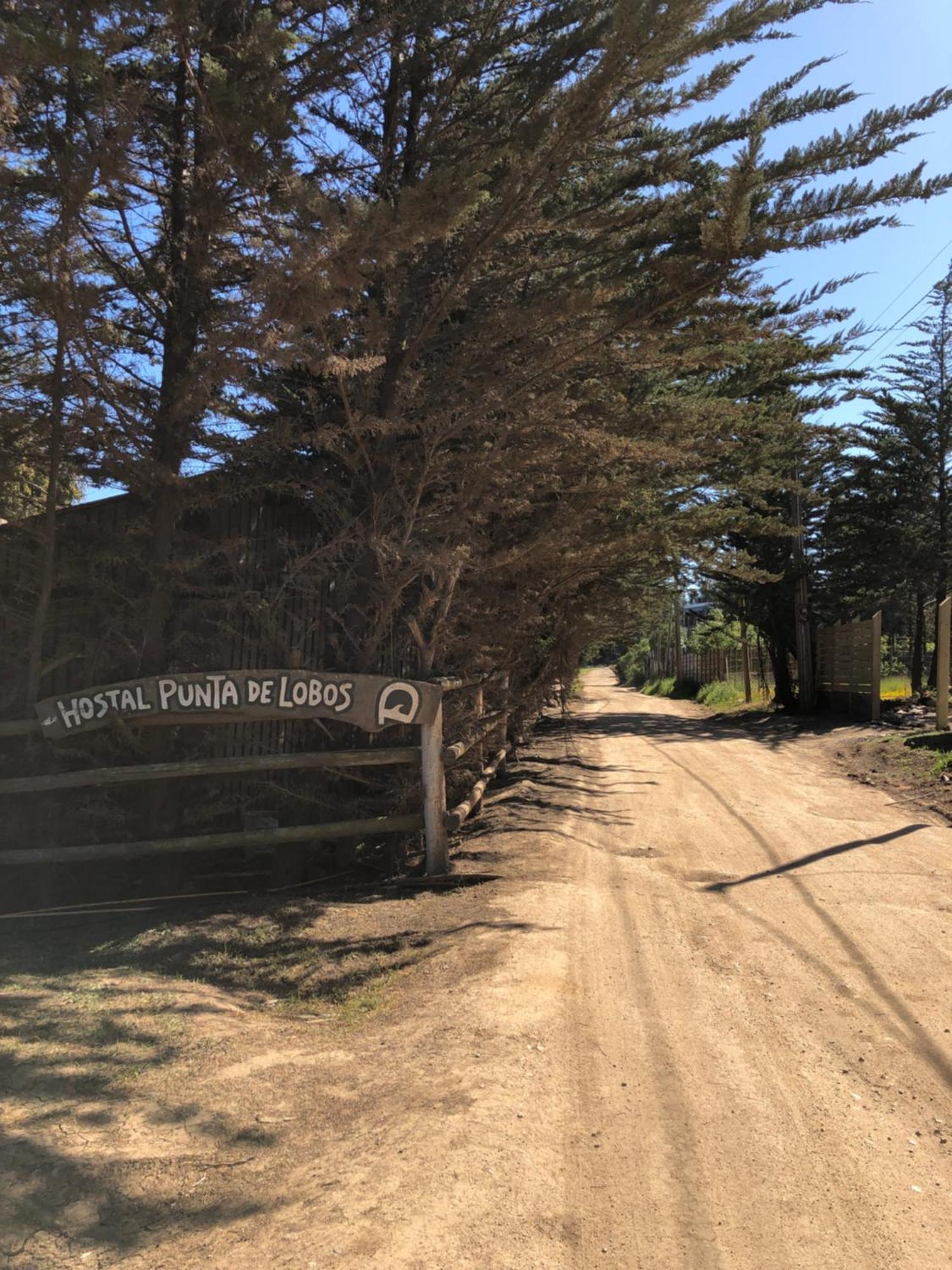 Punta De Lobos - Casa Rústica